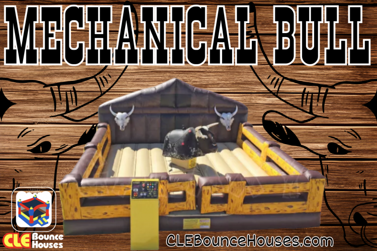 Mechanical Bull